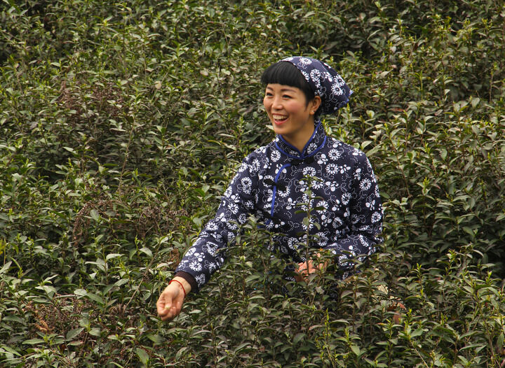 双碟秀直播 第七层